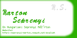 marton seprenyi business card